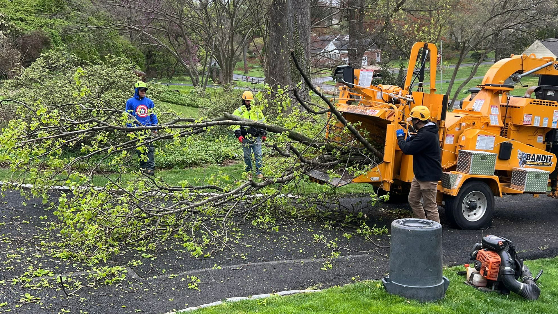 Welcome to Amador Tree & Landscaping Services