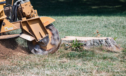 Stump Removal
